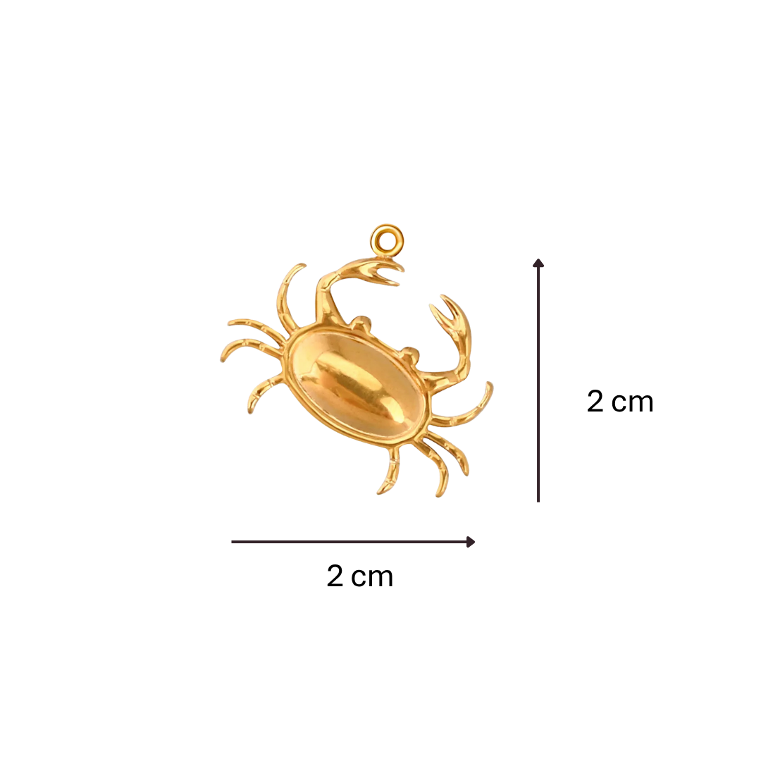 Charm crabe