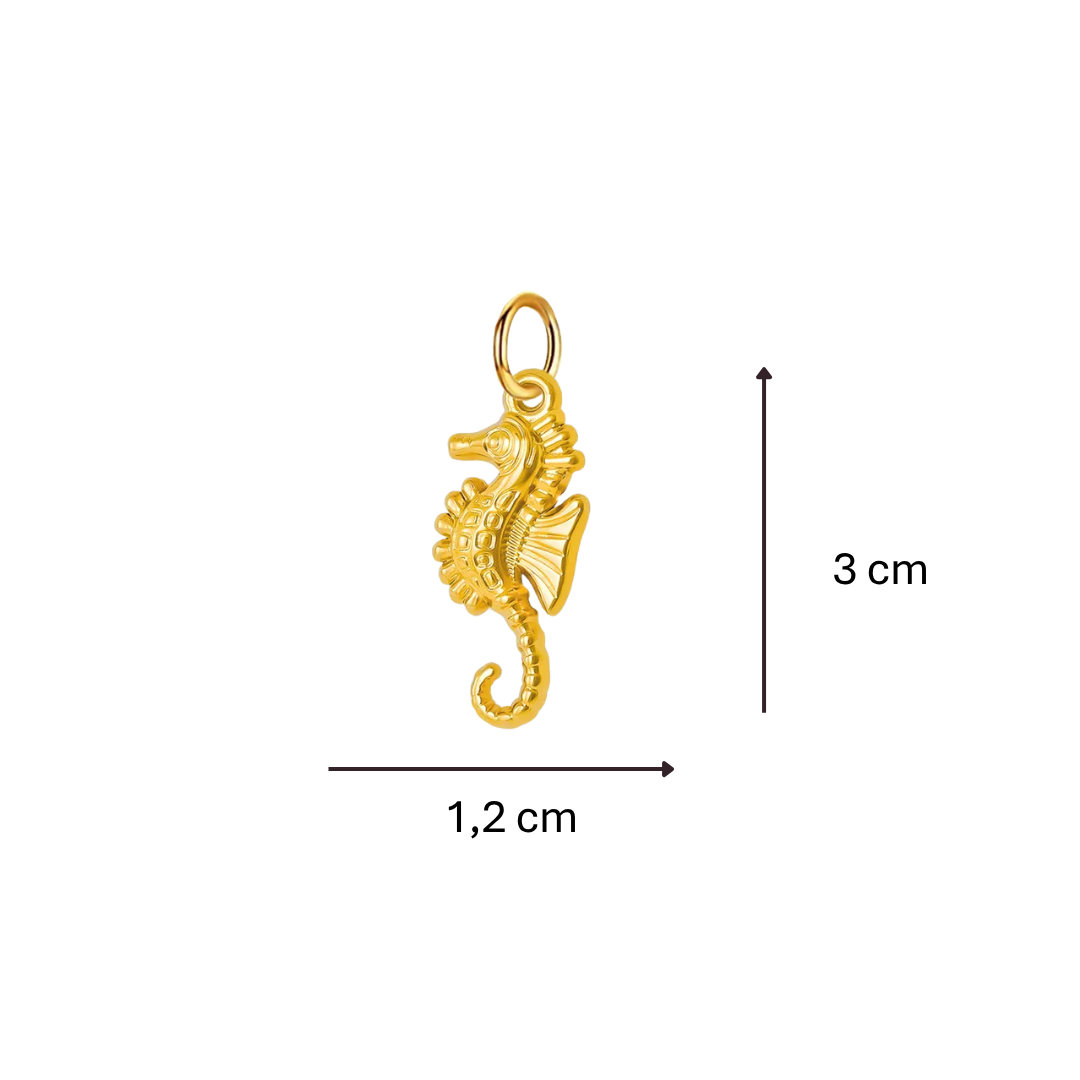 Charm Hippocampe