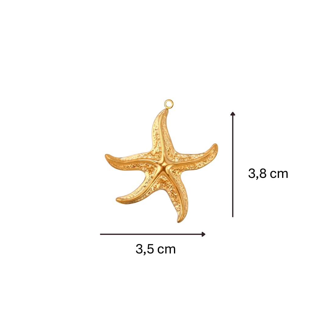 Charm étoile de mer