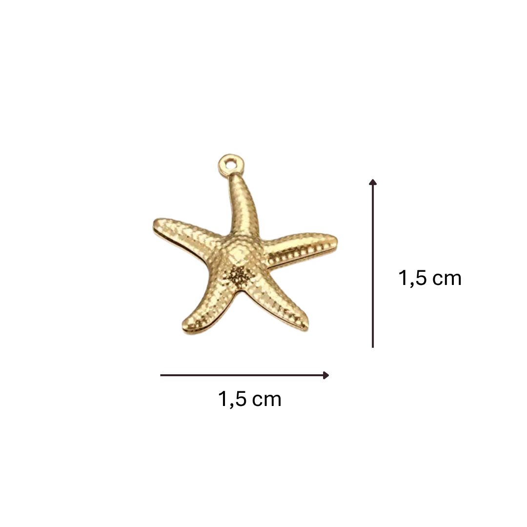 Charm petite étoile de mer